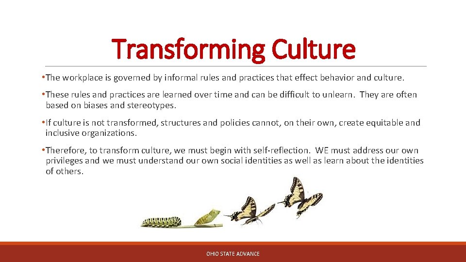 Transforming Culture • The workplace is governed by informal rules and practices that effect