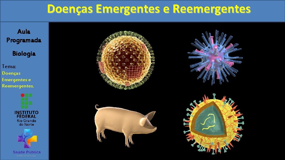 Doenças Emergentes e Reemergentes Aula Programada Biologia Tema: Doenças Emergentes e Reemergentes. 