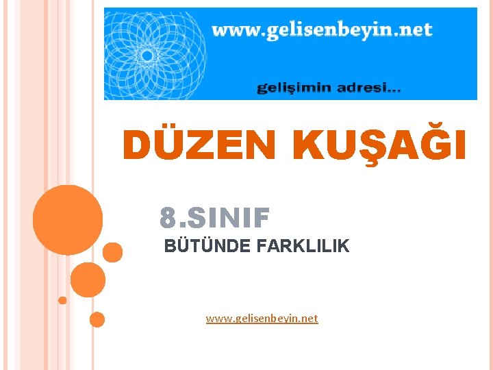 DÜZEN KUŞAĞI 8. SINIF BÜTÜNDE FARKLILIK www. gelisenbeyin. net 