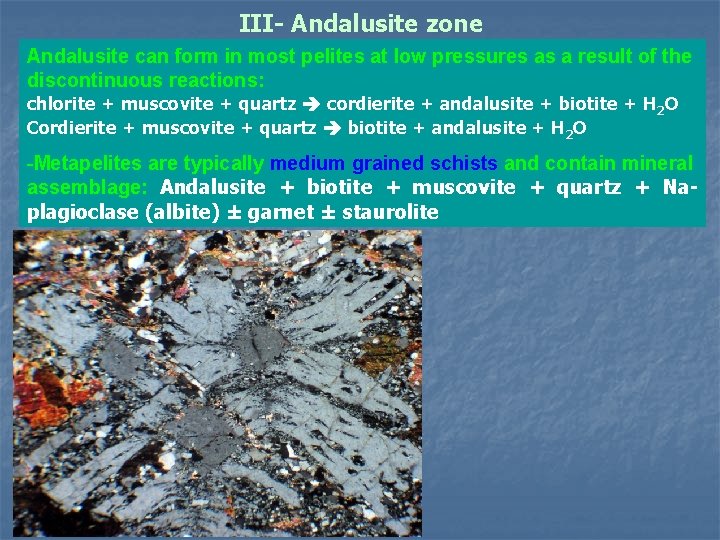 III- Andalusite zone Andalusite can form in most pelites at low pressures as a