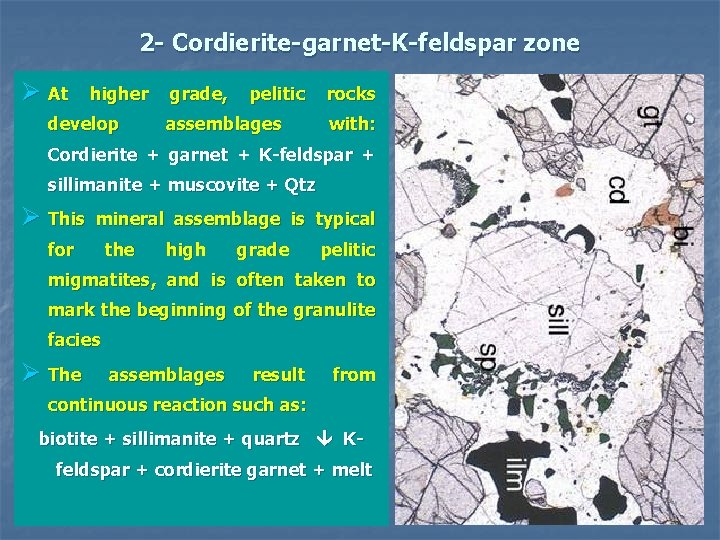 2 - Cordierite-garnet-K-feldspar zone Ø At higher develop grade, pelitic assemblages rocks with: Cordierite