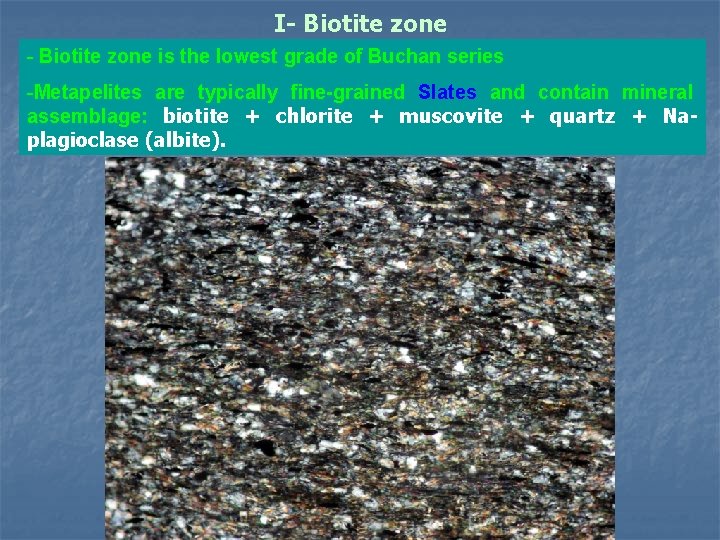 I- Biotite zone is the lowest grade of Buchan series -Metapelites are typically fine-grained