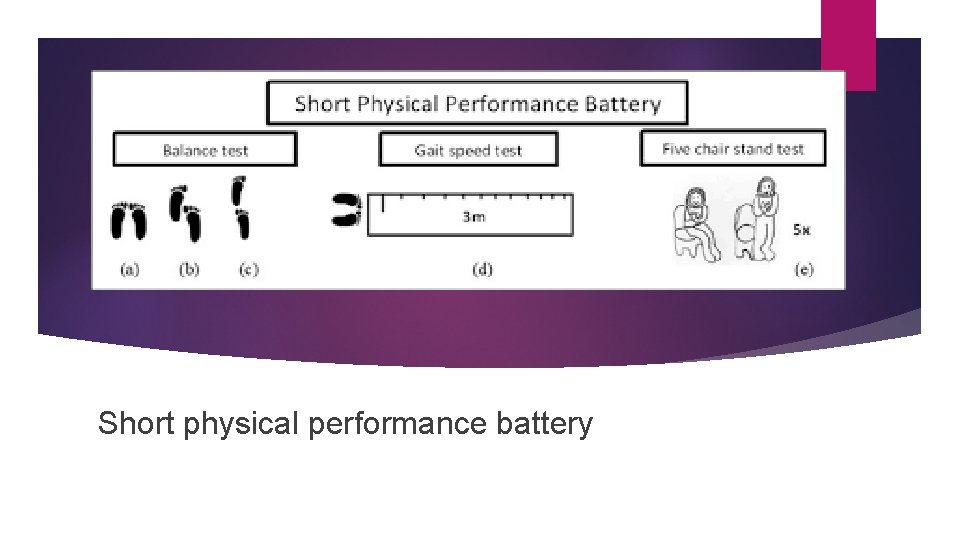 “ ” Short physical performance battery 
