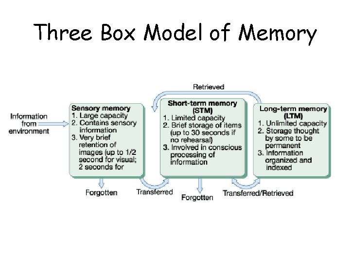 Three Box Model of Memory 