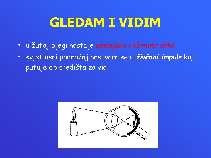 GLEDAM I VIDIM • u žutoj pjegi nastaje umanjena i obrnuta slika • svjetlosni