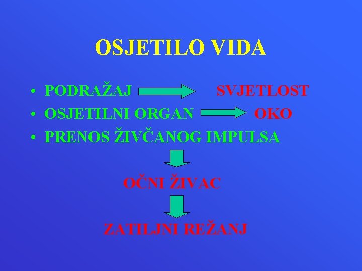 OSJETILO VIDA • PODRAŽAJ SVJETLOST • OSJETILNI ORGAN OKO • PRENOS ŽIVČANOG IMPULSA OČNI