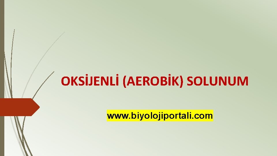 OKSİJENLİ (AEROBİK) SOLUNUM www. biyolojiportali. com 