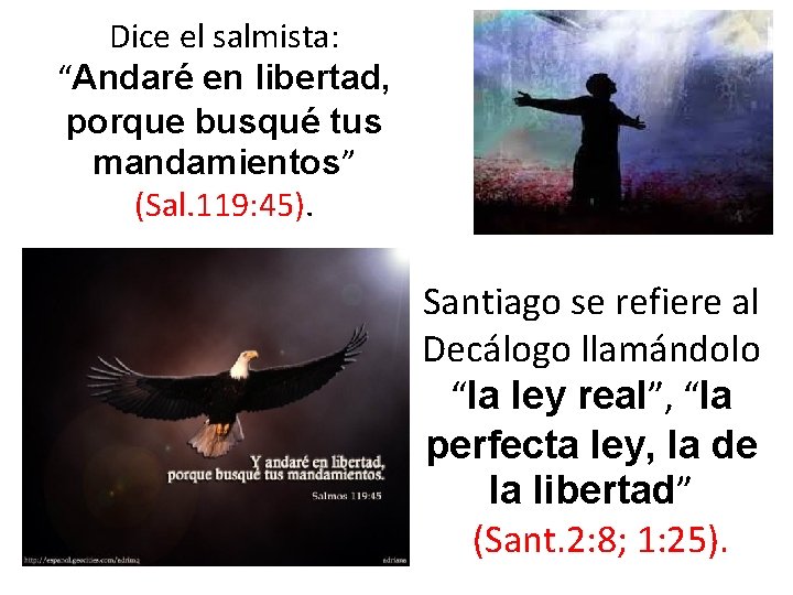 Dice el salmista: “Andaré en libertad, porque busqué tus mandamientos” (Sal. 119: 45). Santiago