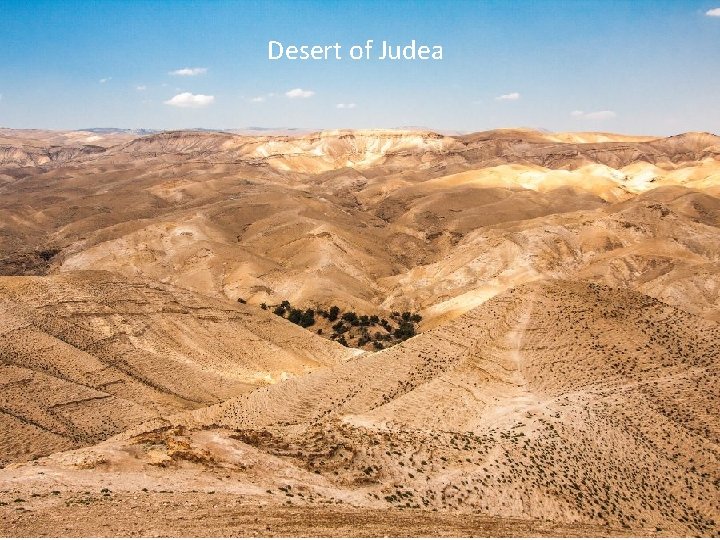 Desert of Judea Desert of Judea