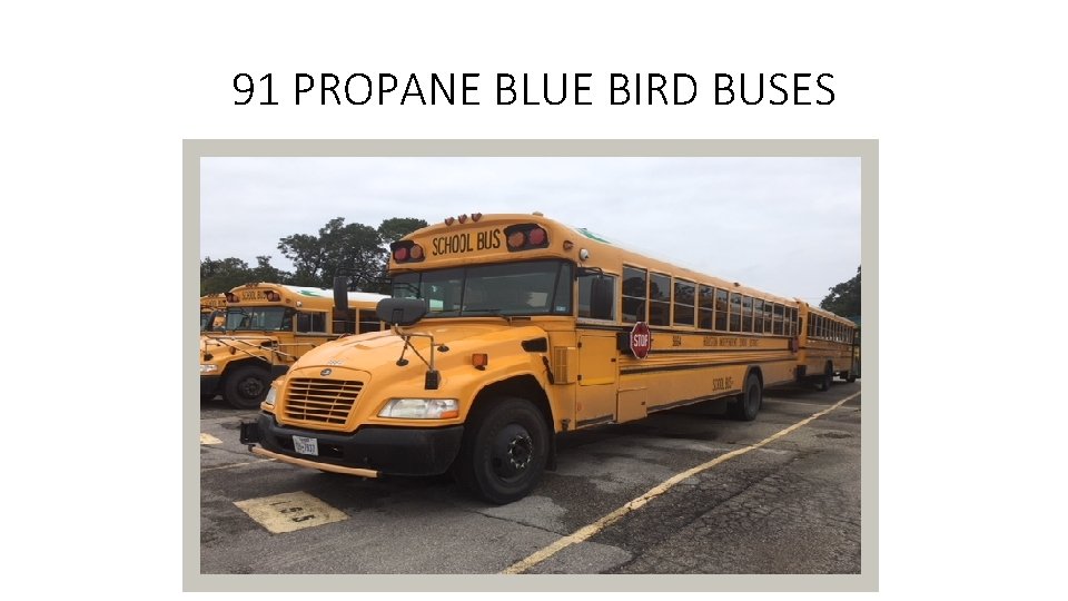 91 PROPANE BLUE BIRD BUSES 