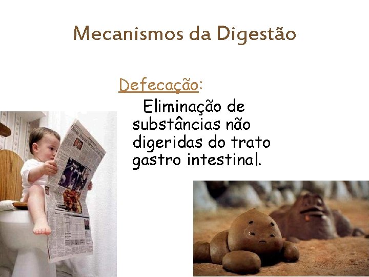 Mecanismos da Digestão Defecação: Eliminação de substâncias não digeridas do trato gastro intestinal. 