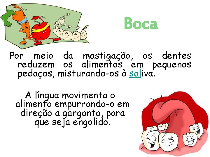 Boca Por meio da mastigação, os dentes reduzem os alimentos em pequenos pedaços, misturando-os