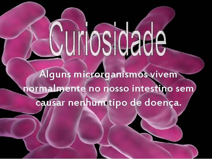 Alguns microrganismos vivem normalmente no nosso intestino sem causar nenhum tipo de doença. 