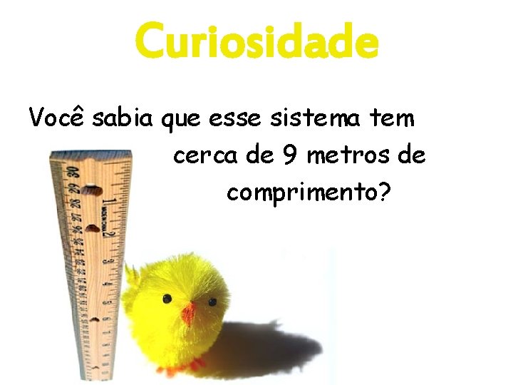 Curiosidade Você sabia que esse sistema tem cerca de 9 metros de comprimento? 