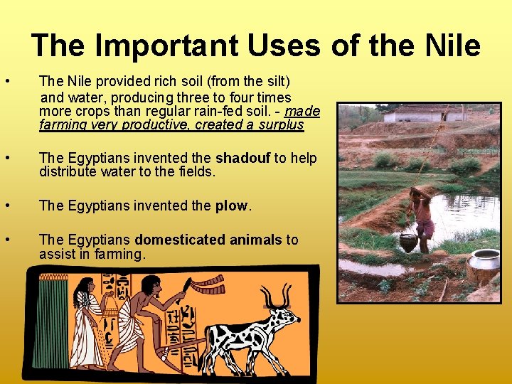 The Important Uses of the Nile • The Nile provided rich soil (from the