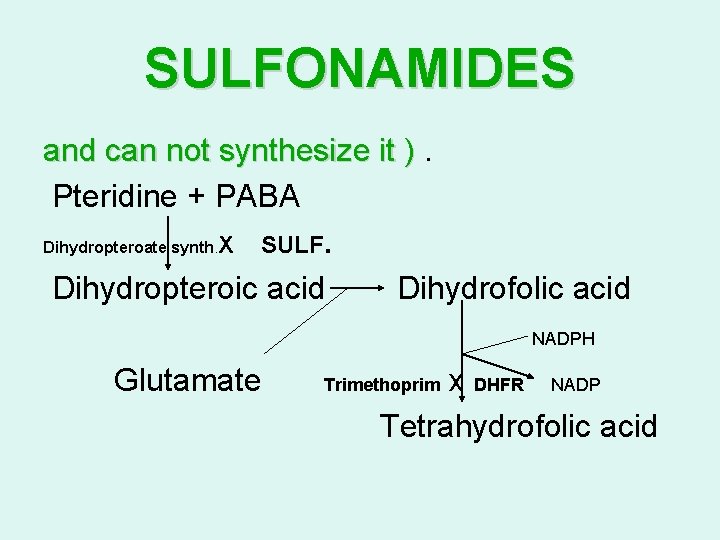 SULFONAMIDES and can not synthesize it ). Pteridine + PABA Dihydropteroate synth. X SULF.