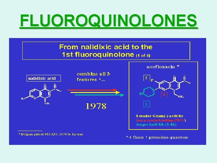 FLUOROQUINOLONES 