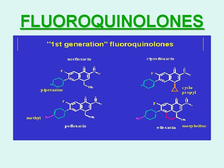 FLUOROQUINOLONES 