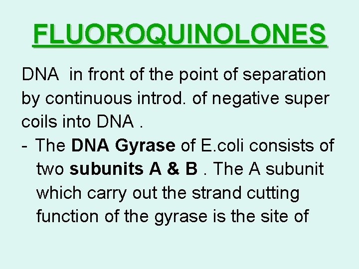 FLUOROQUINOLONES DNA in front of the point of separation by continuous introd. of negative