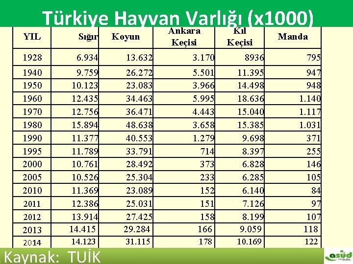 Türkiye hayvan varlığı (x 1000) Türkiye Hayvan Varlığı (x 1000) Ankara Kıl YIL Sığır