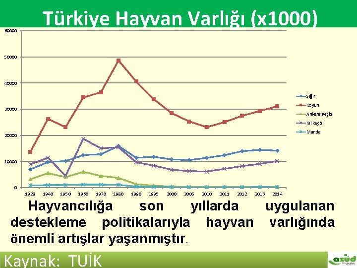 Türkiye hayvan varlığı (x 1000) Türkiye Hayvan Varlığı (x 1000) 60000 50000 40000 Sığır