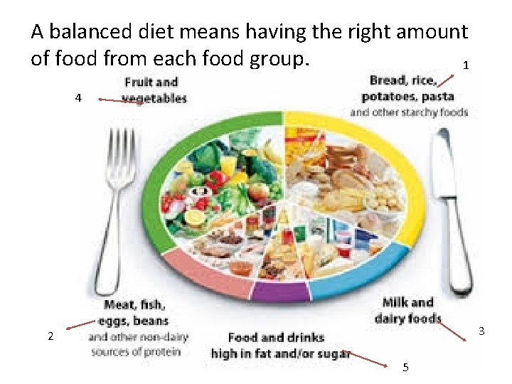 A balanced diet means having the right amount of food from each food group.