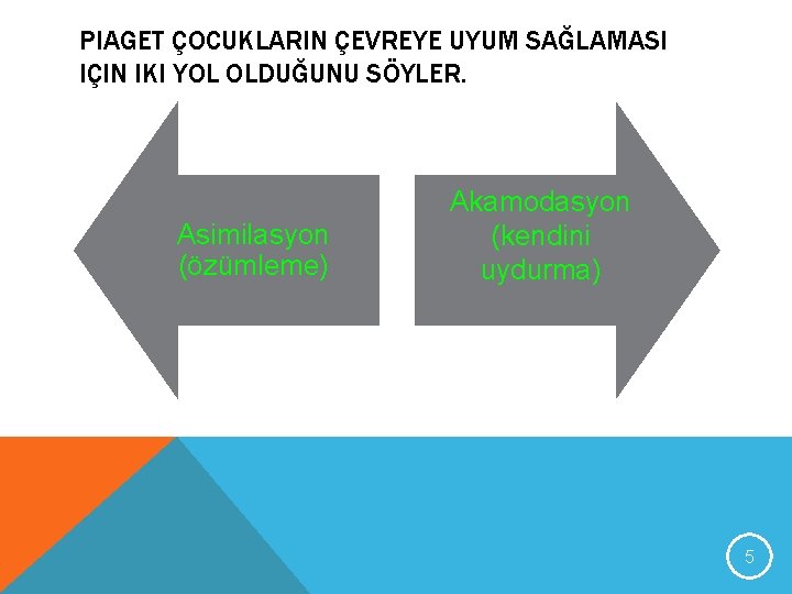 PIAGET ÇOCUKLARIN ÇEVREYE UYUM SAĞLAMASI IÇIN IKI YOL OLDUĞUNU SÖYLER. Asimilasyon (özümleme) Akamodasyon (kendini