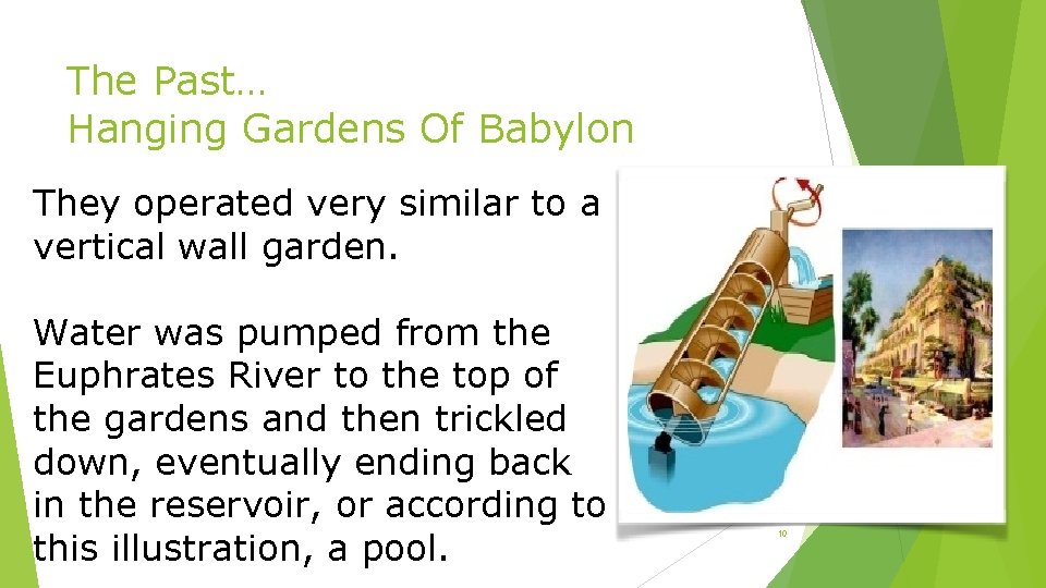 The Past… Hanging Gardens Of Babylon They operated very similar to a vertical wall