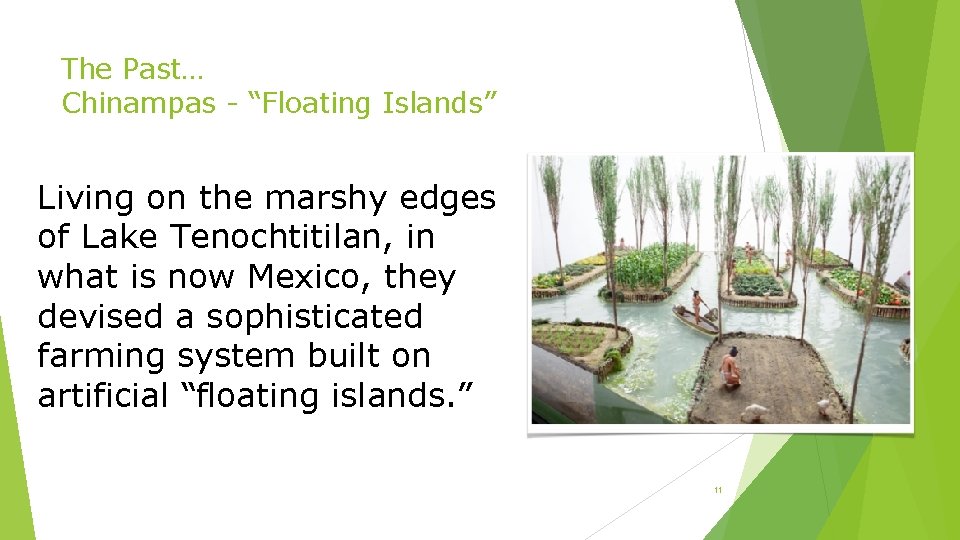 The Past… Chinampas - “Floating Islands” Living on the marshy edges of Lake Tenochtitilan,