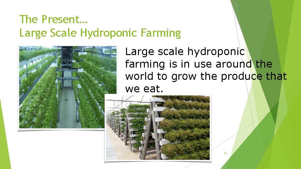 The Present… Large Scale Hydroponic Farming Large scale hydroponic farming is in use around