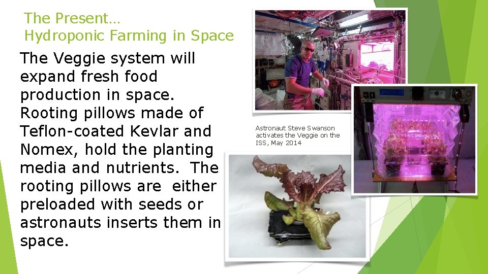 The Present… Hydroponic Farming in Space The Veggie system will expand fresh food production