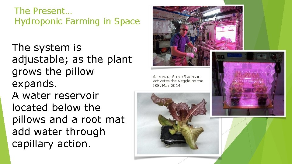 The Present… Hydroponic Farming in Space The system is adjustable; as the plant grows