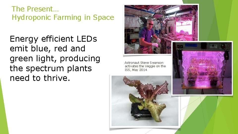 The Present… Hydroponic Farming in Space Energy efficient LEDs emit blue, red and green