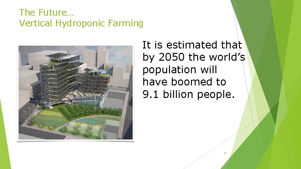 The Future… Vertical Hydroponic Farming It is estimated that by 2050 the world’s population
