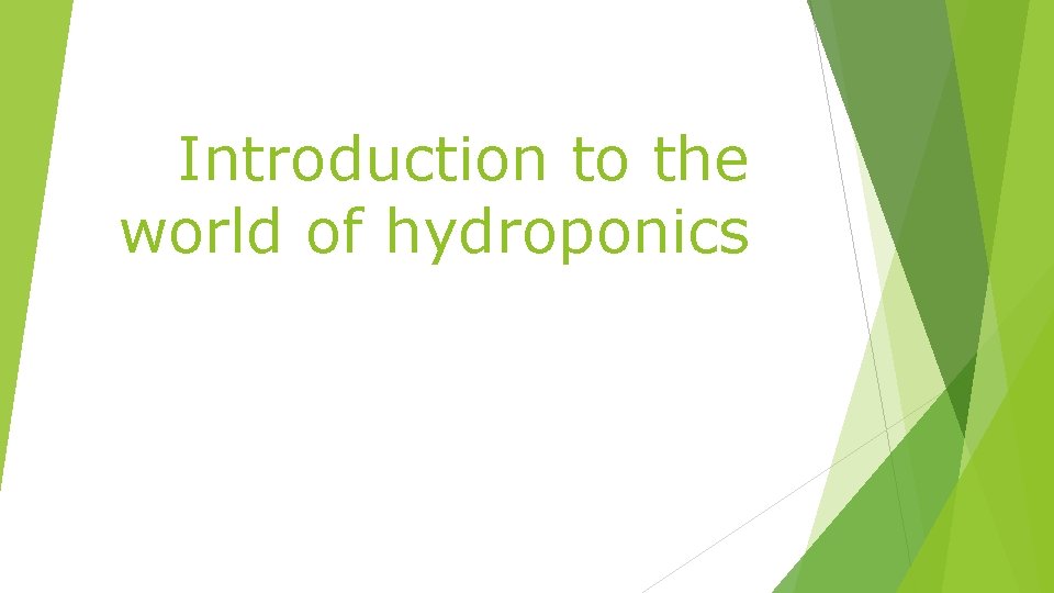 Introduction to the world of hydroponics 