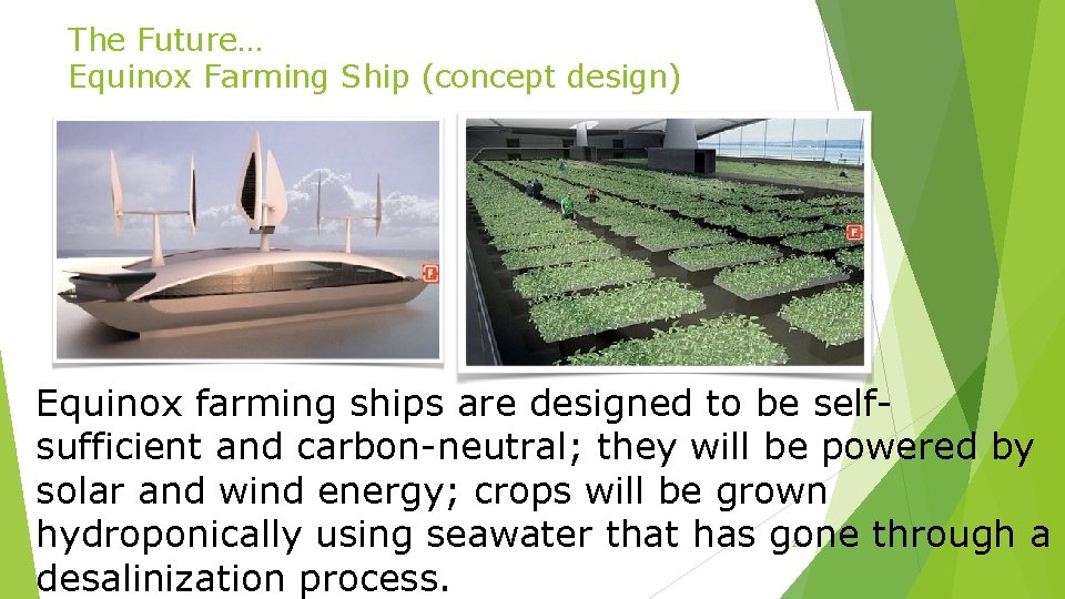 The Future… Equinox Farming Ship (concept design) Equinox farming ships are designed to be
