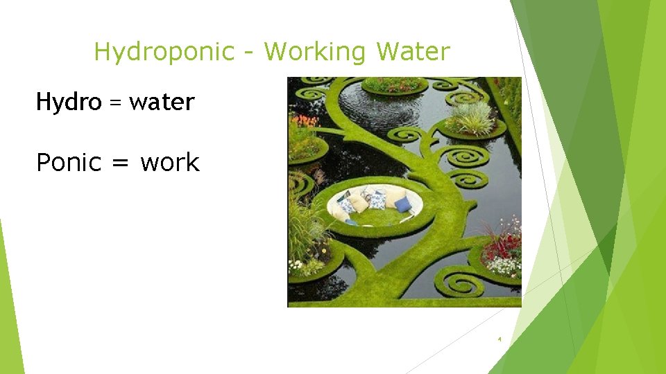 Hydroponic - Working Water Hydro = water Ponic = work 4 
