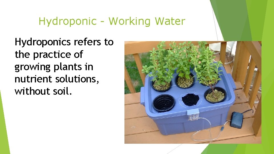 Hydroponic - Working Water Hydroponics refers to the practice of growing plants in nutrient