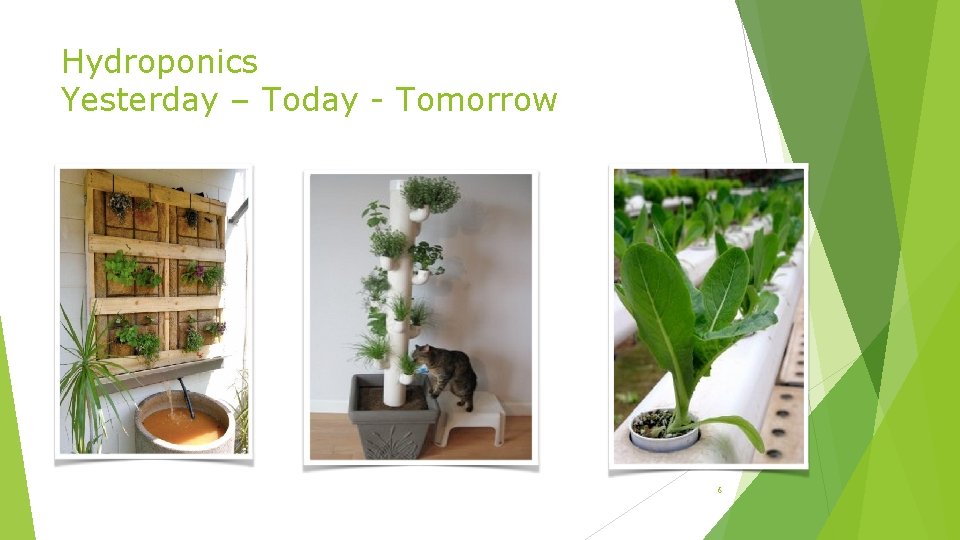 Hydroponics Yesterday – Today - Tomorrow 6 