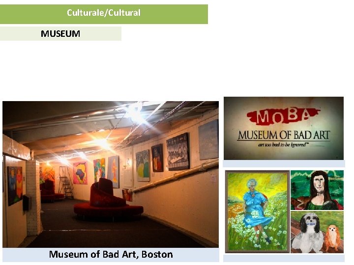 Culturale/Cultural MUSEUM Museum of Bad Art, Boston 