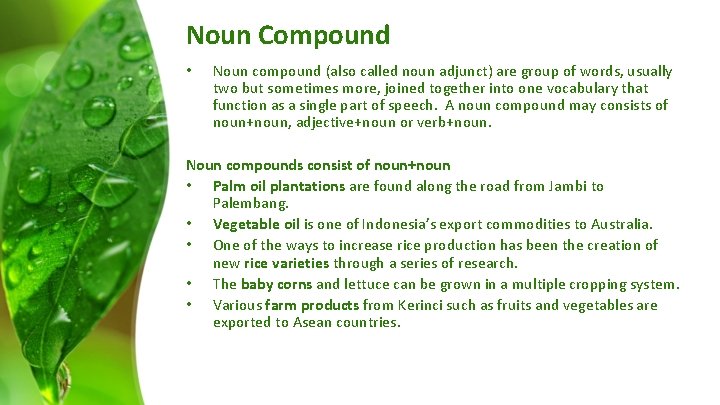 Noun Compound • Noun compound (also called noun adjunct) are group of words, usually