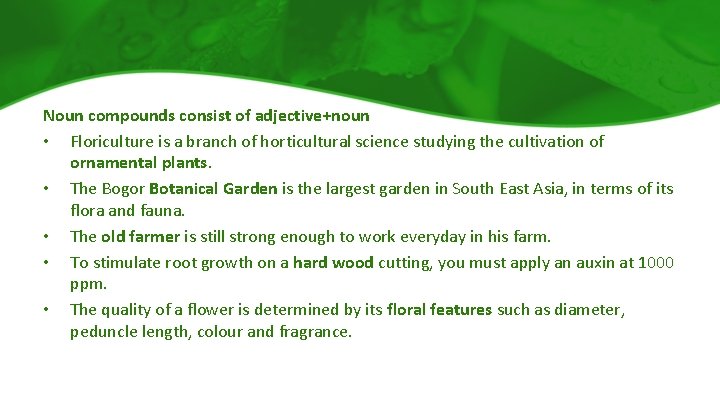 Noun compounds consist of adjective+noun • Floriculture is a branch of horticultural science studying