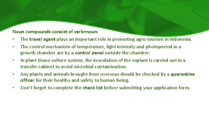 Noun compounds consist of verb+noun • The travel agent plays an important role in