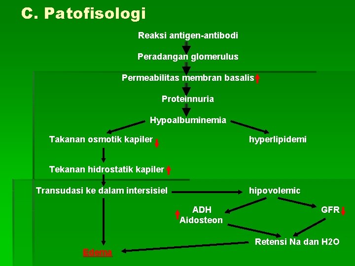 C. Patofisologi Reaksi antigen-antibodi Peradangan glomerulus Permeabilitas membran basalis Proteinnuria Hypoalbuminemia Takanan osmotik kapiler