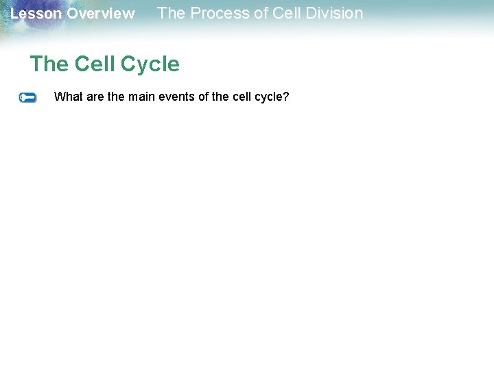 Lesson Overview The Process of Cell Division The Cell Cycle What are the main