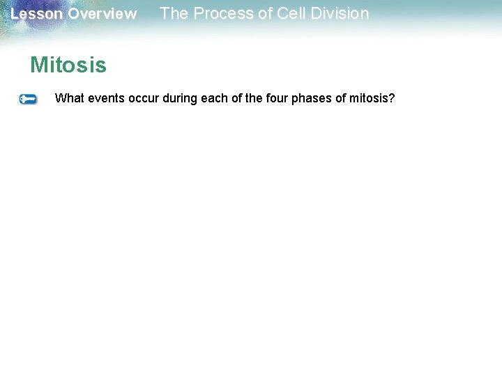 Lesson Overview The Process of Cell Division Mitosis What events occur during each of