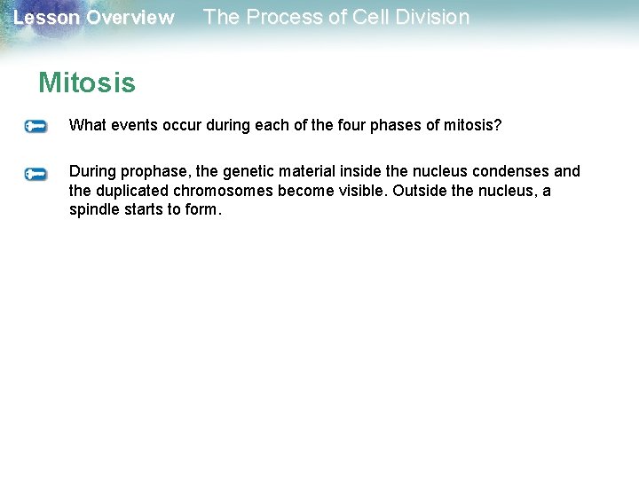 Lesson Overview The Process of Cell Division Mitosis What events occur during each of