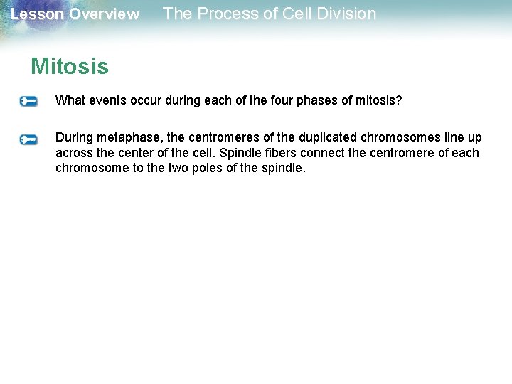 Lesson Overview The Process of Cell Division Mitosis What events occur during each of