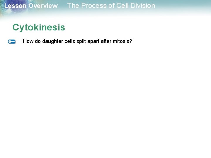Lesson Overview The Process of Cell Division Cytokinesis How do daughter cells split apart