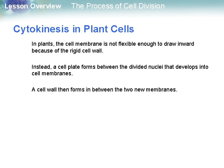 Lesson Overview The Process of Cell Division Cytokinesis in Plant Cells In plants, the